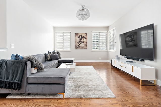 living room featuring wood-type flooring