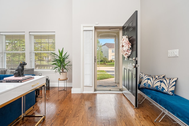 foyer featuring hardwood / wood-style floors