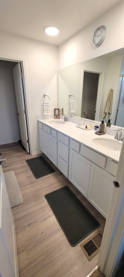 bathroom with wood-type flooring and vanity