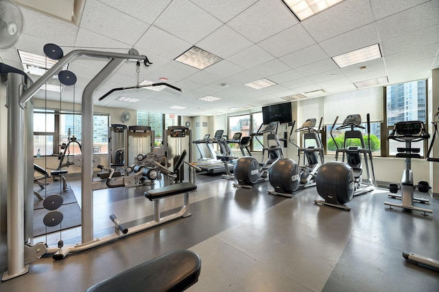 workout area with plenty of natural light and a paneled ceiling