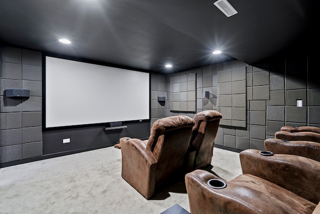 carpeted cinema with a package area