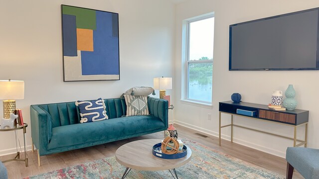 living room with wood-type flooring and plenty of natural light