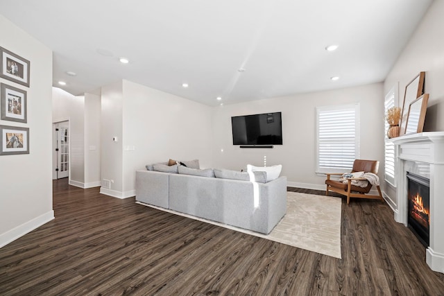 living room with dark hardwood / wood-style floors