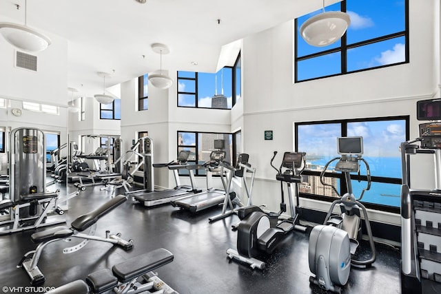 exercise room with a high ceiling