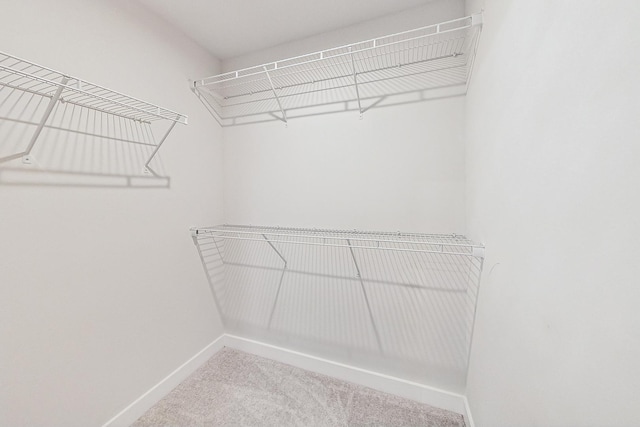 spacious closet with carpet floors