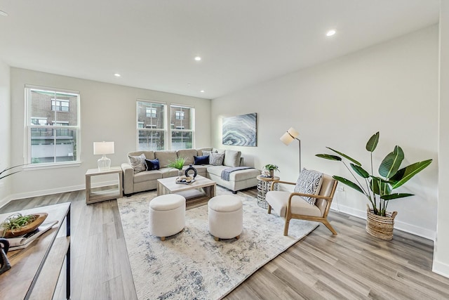 living room with light wood-type flooring