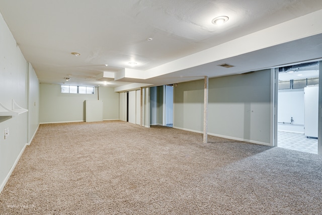 basement featuring carpet floors