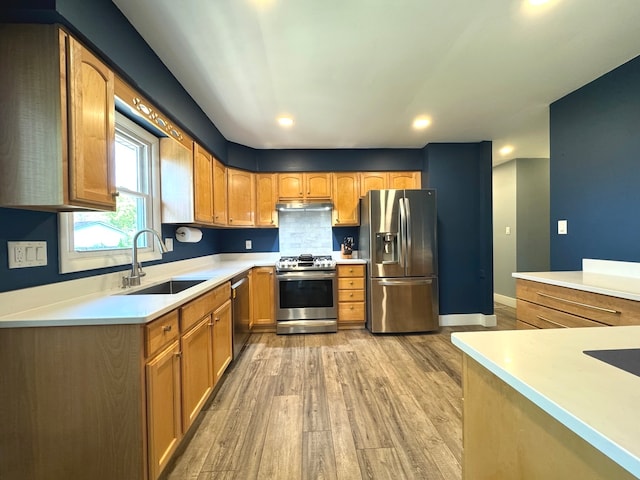 kitchen featuring light wood-type flooring, stainless steel appliances, and sink