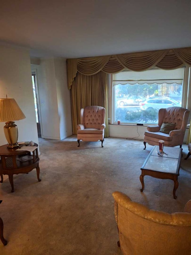 sitting room with carpet floors