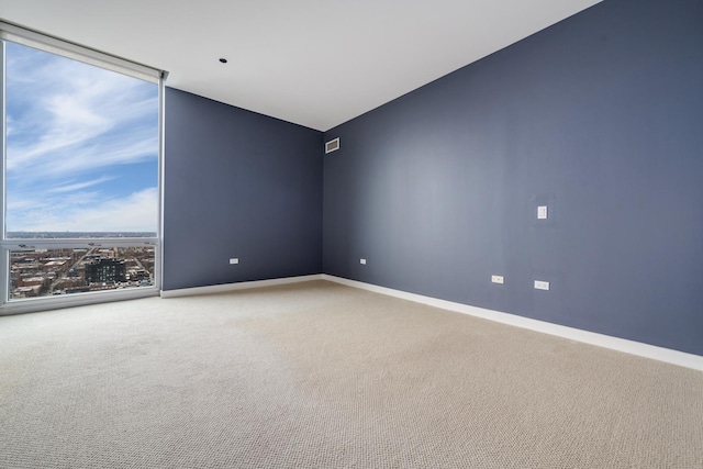 carpeted empty room featuring a wall of windows and baseboards