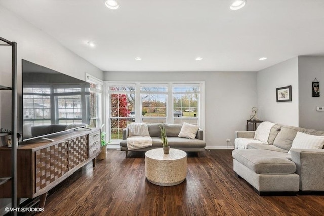 living room with dark hardwood / wood-style flooring