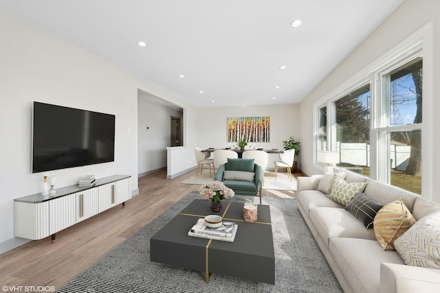 living room featuring wood-type flooring