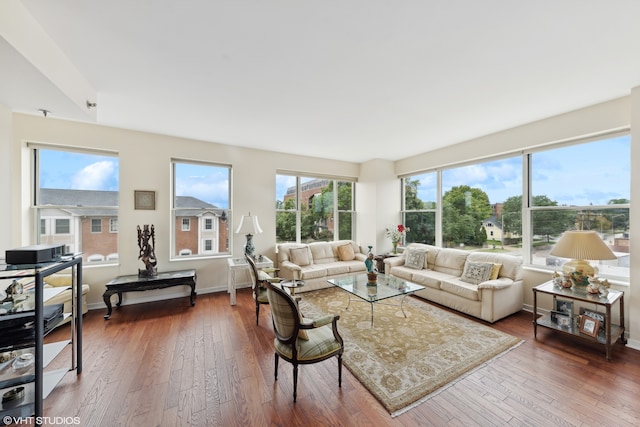 living room with hardwood / wood-style flooring and plenty of natural light