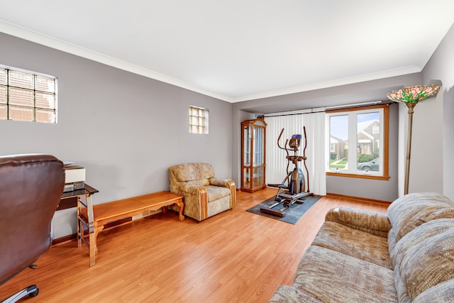 interior space with a healthy amount of sunlight, light wood-type flooring, and ornamental molding