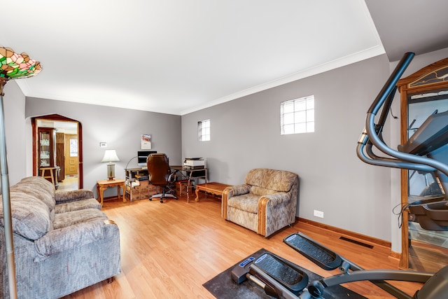 living room featuring ornamental molding and light hardwood / wood-style flooring