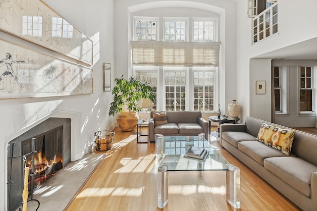 living room featuring hardwood / wood-style flooring and a high ceiling