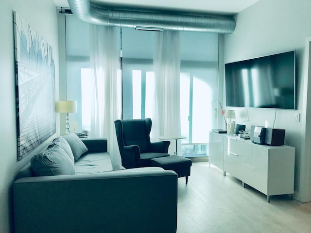 living room featuring light hardwood / wood-style floors