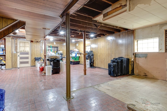 basement with wooden walls