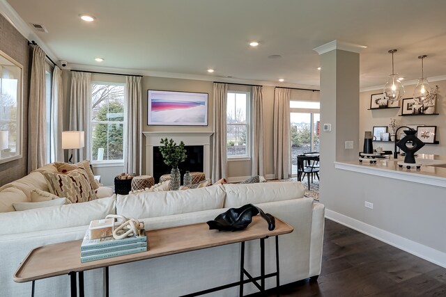 living room featuring dark hardwood / wood-style flooring, ornate columns, ornamental molding, and plenty of natural light