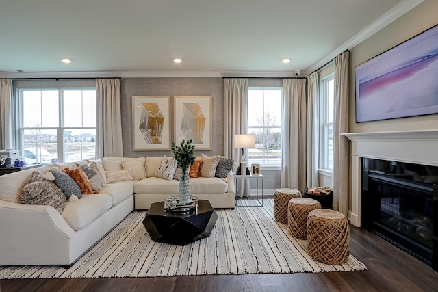 living room featuring ornamental molding, wood-type flooring, and a healthy amount of sunlight