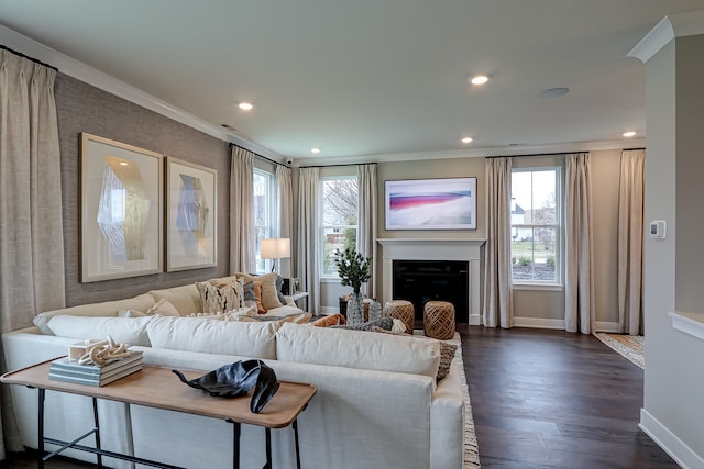 living room featuring ornamental molding and dark hardwood / wood-style floors