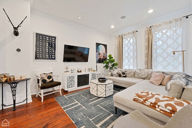 living room featuring ornamental molding and dark wood-type flooring