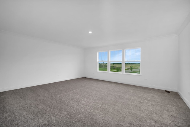 spare room featuring carpet and crown molding