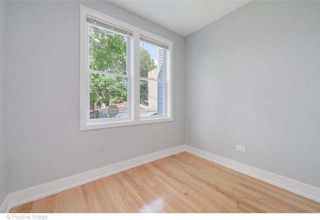 spare room with wood-type flooring