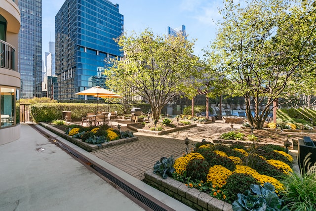 surrounding community with a patio area