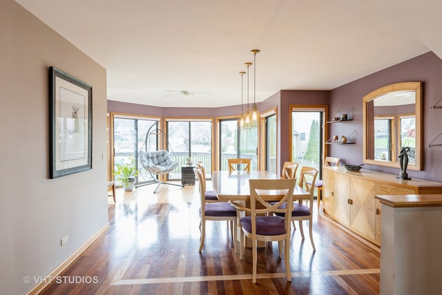 dining space featuring wood-type flooring and ceiling fan with notable chandelier