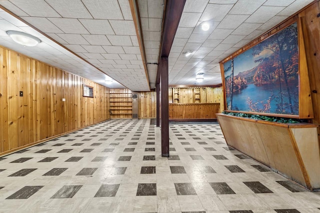 basement with wooden walls