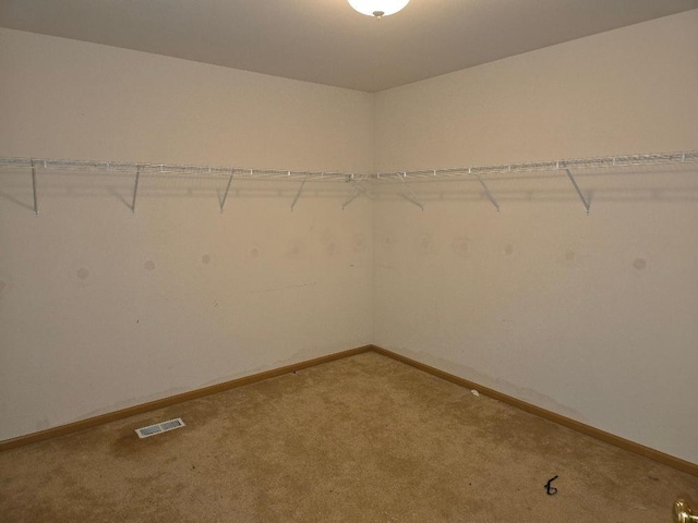 spacious closet with carpet floors