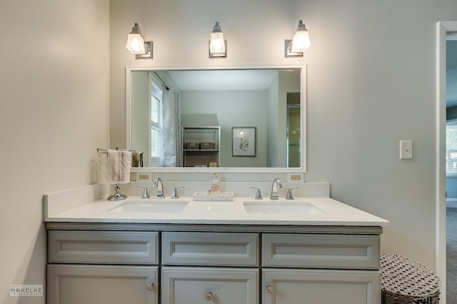 1019 N Webster St, Naperville, IL 60563 - bathroom with double vanity