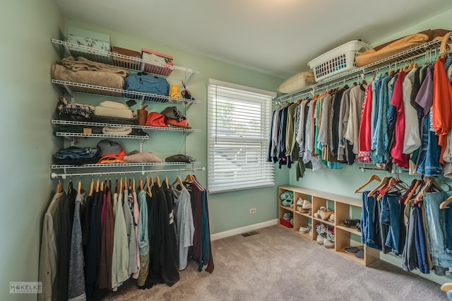 1019 N Webster St, Naperville, IL 60563 - walk in closet featuring carpet floors