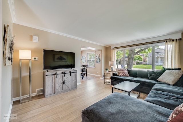 1019 N Webster St, Naperville, IL 60563 - living room featuring crown molding, light wood-type flooring, and baseboards