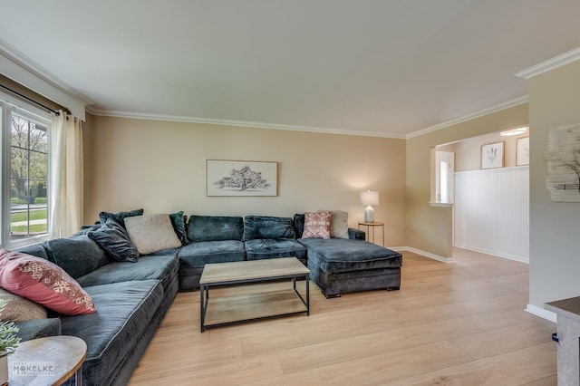 1019 N Webster St, Naperville, IL 60563 - living area featuring ornamental molding and light wood-style flooring