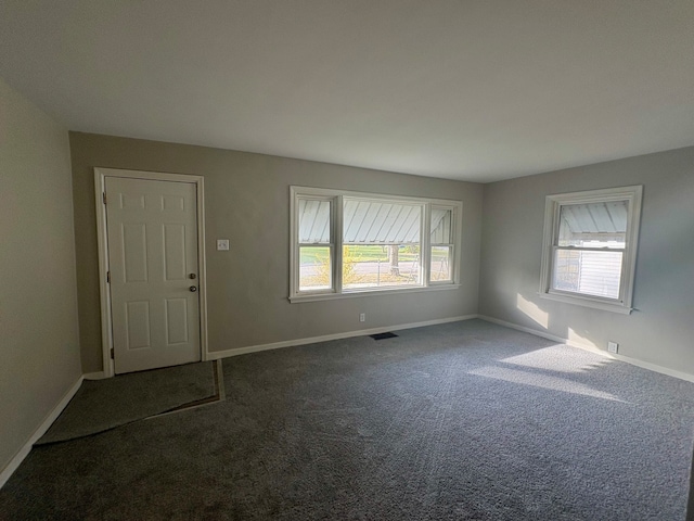 carpeted entryway featuring plenty of natural light