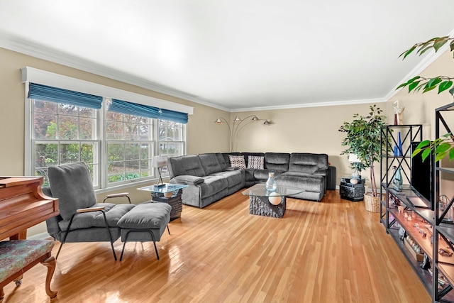 living room featuring light hardwood / wood-style flooring and ornamental molding