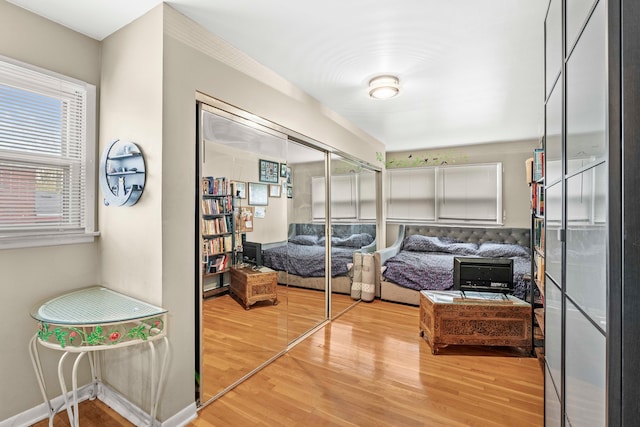 bedroom featuring wood-type flooring and a closet