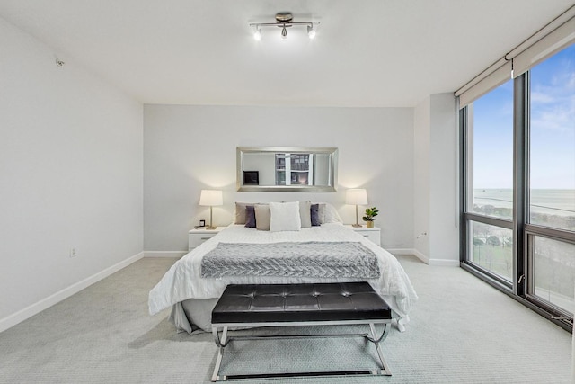 bedroom with a water view and light colored carpet