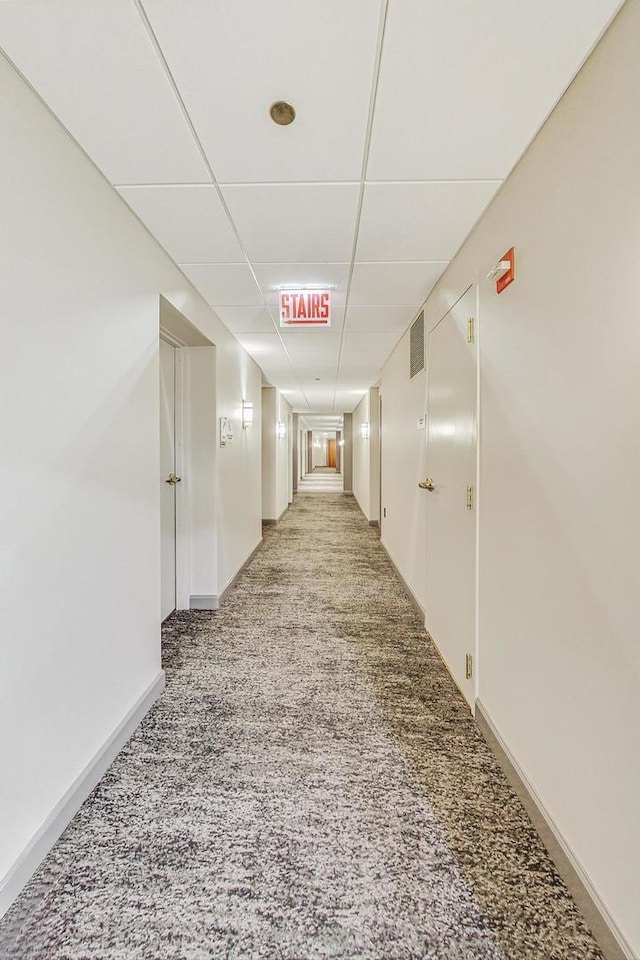 hall featuring a drop ceiling and light colored carpet