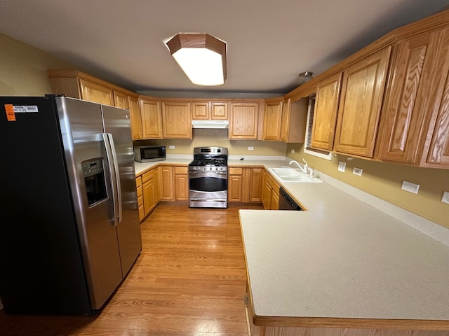 kitchen featuring sink, light hardwood / wood-style flooring, and appliances with stainless steel finishes