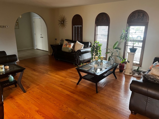 living room with hardwood / wood-style flooring