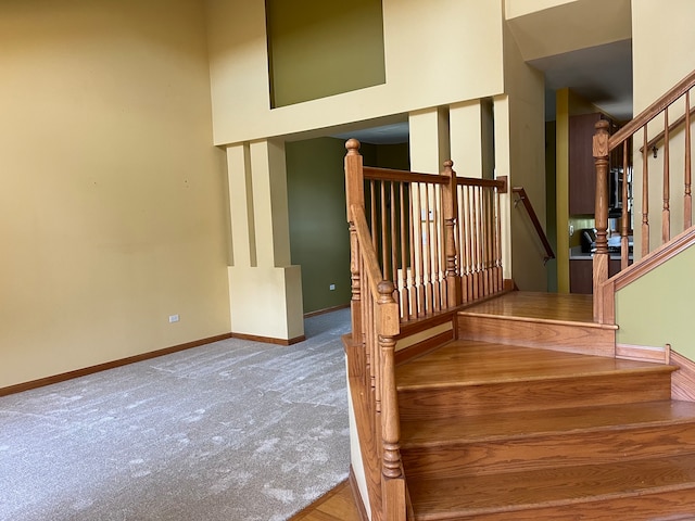 stairway with carpet floors