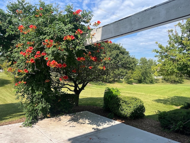 view of yard with a patio area