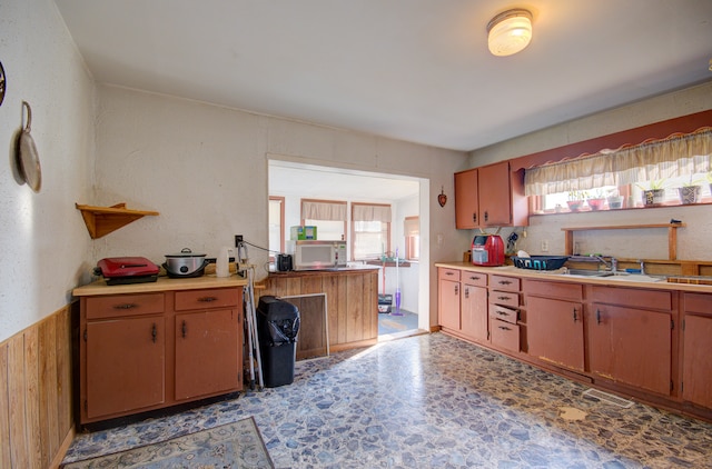 kitchen featuring sink and a healthy amount of sunlight