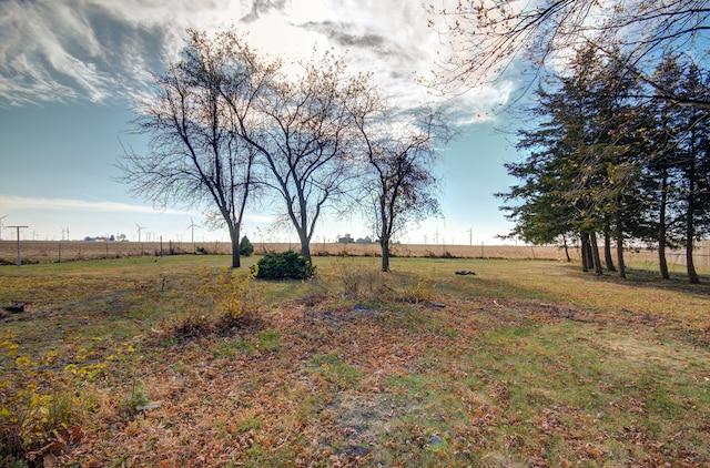 view of yard with a rural view