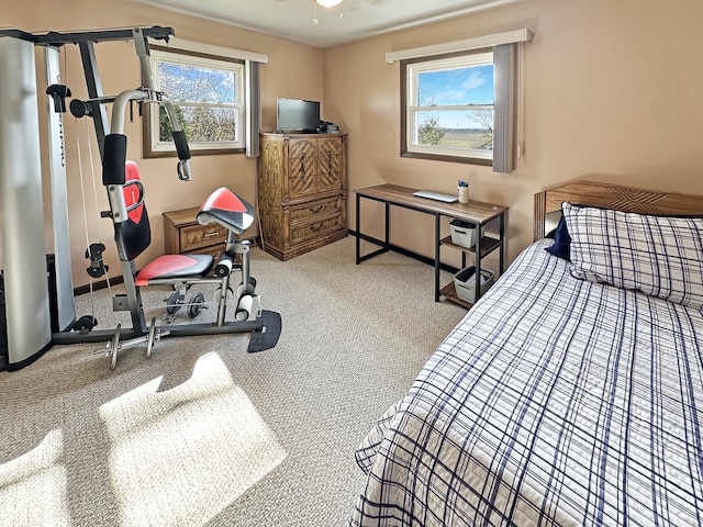 bedroom with carpet