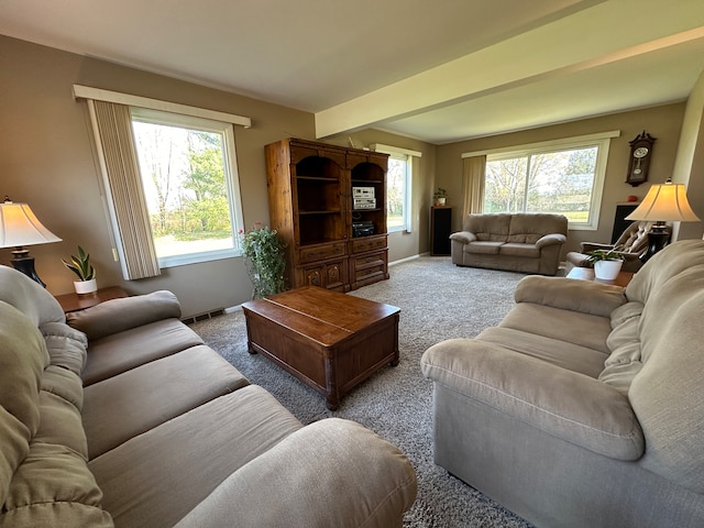 living room with plenty of natural light and carpet floors