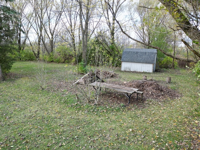 view of yard featuring a storage unit